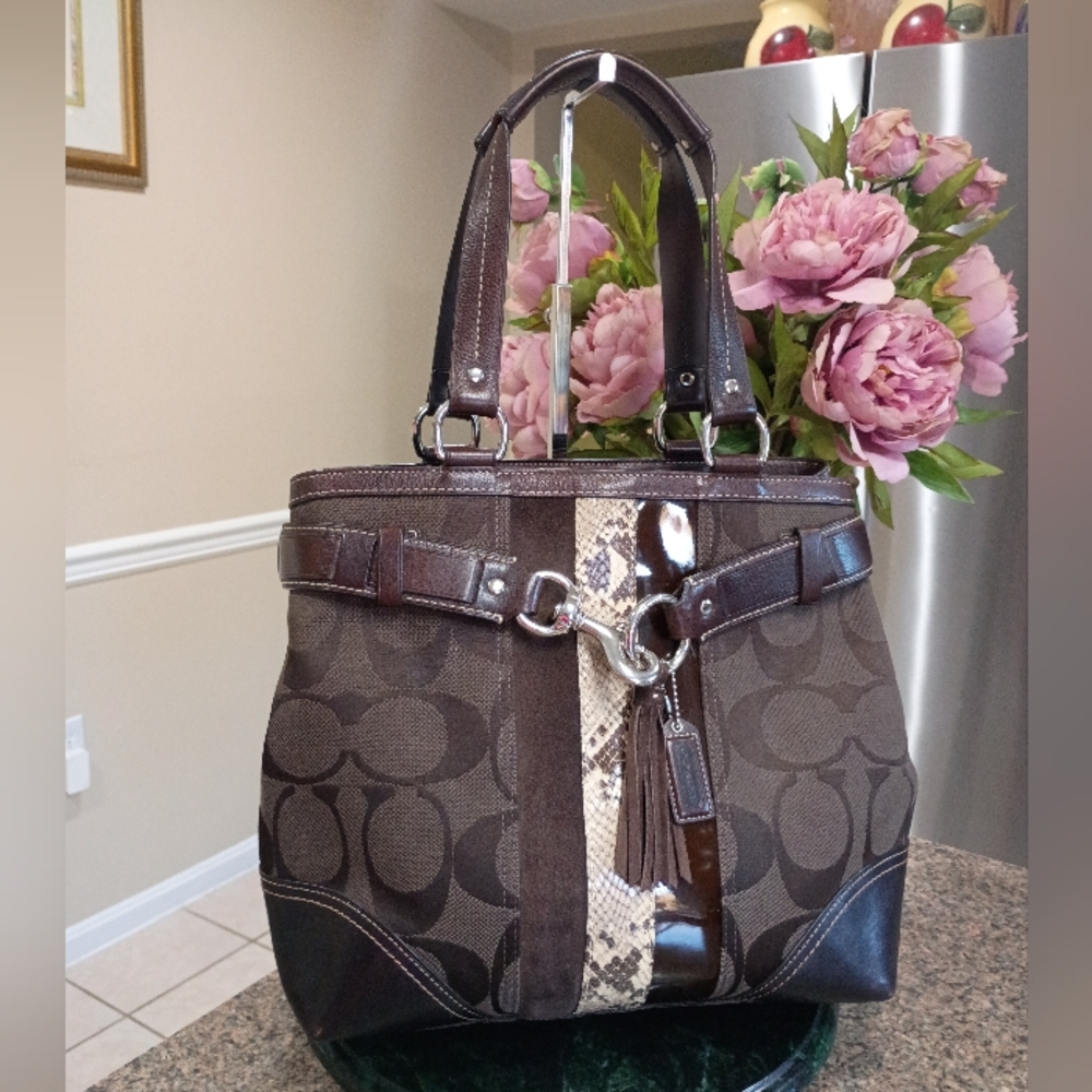 Coach Hampton Signature Python Stripe Carryall Satchel - Picture 6 of 17